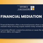 Financial Mediation