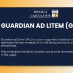 Guardian ad Litem (GAL)